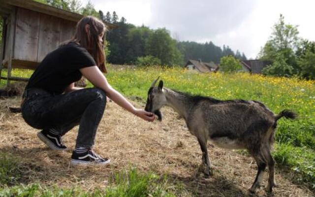 Bauernhof und Weingut Strablegg