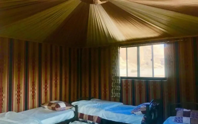 Bedouin habits tours camp