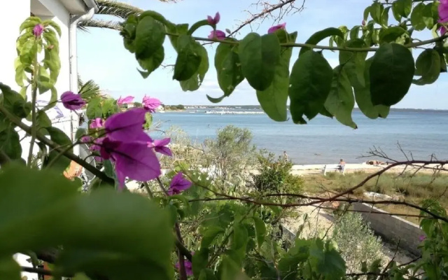 Teo - 8m From the sea & Parking - A1 Žuti