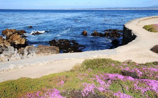 Deer Haven Inn & Suites