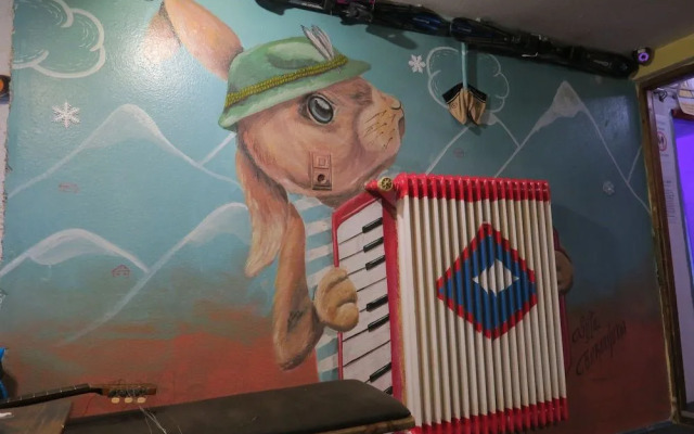 SnowBunnys BackPackers Hostel