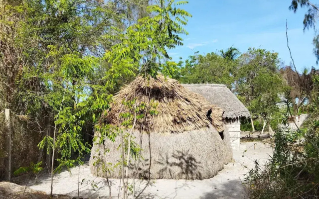 Room-mida Creek Eco Camp - Lodge