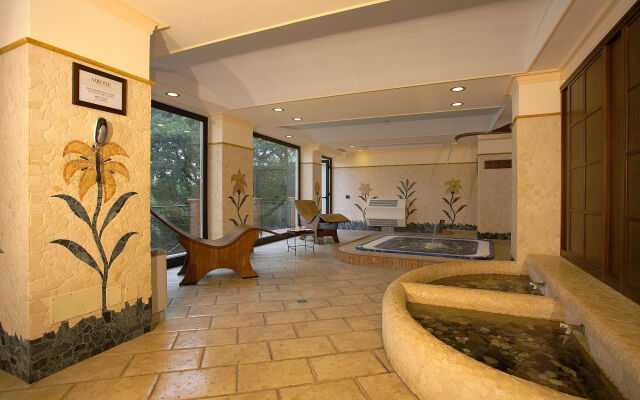 Airone Wellness Hotel