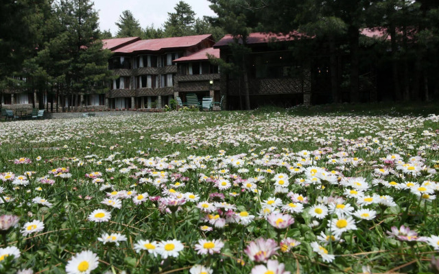 Welcomhotel by ITC Hotels, Pine N Peak, Pahalgam