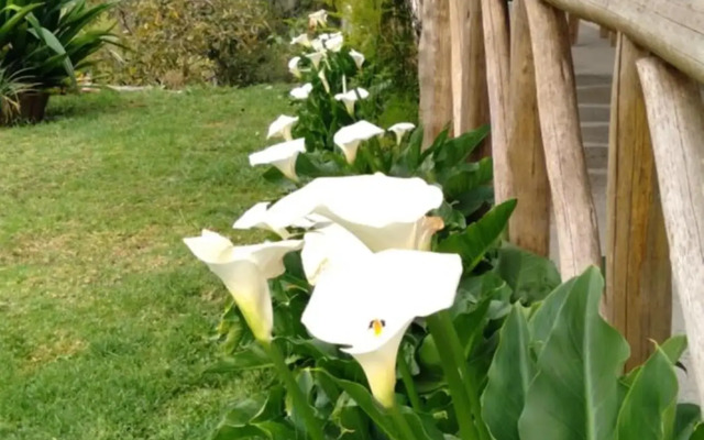 Rancho Pedra do Picú