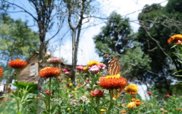 Sapa Jungle Pub  Homestay