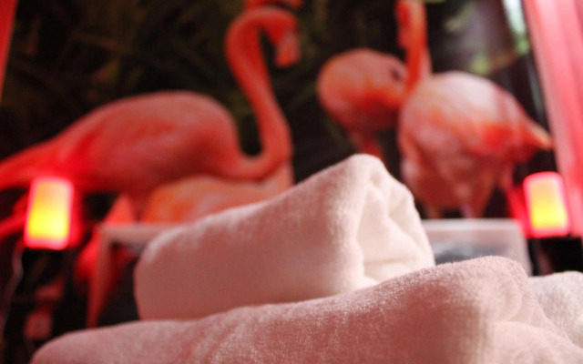 FLAMINGOS Apartman & Fitness OSIJEK