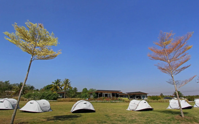 White Knot Khao Yai