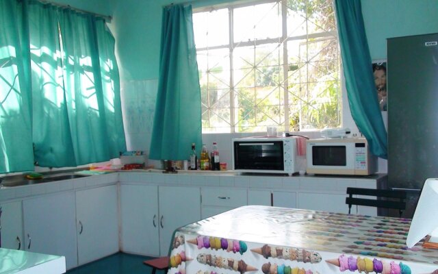 House With 3 Bedrooms In Coromandel With Wifi