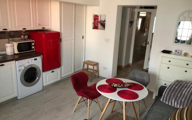 Vintage Apartment Suceava