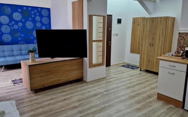 ORI Blue Studio Malul Muresului