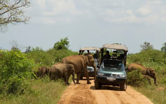 Ruhunu Safari Camping - Udawalawe