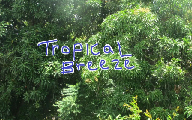 Tropical Breeze Guest House