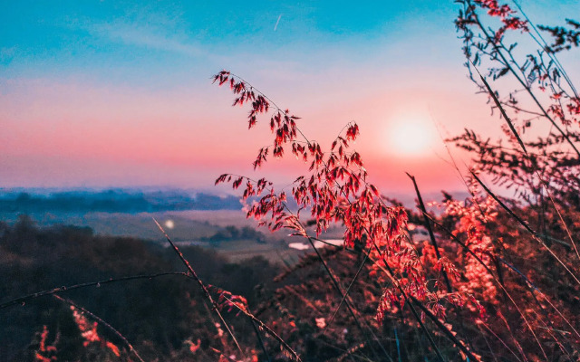 Hotel YNO Castle Kepanjen