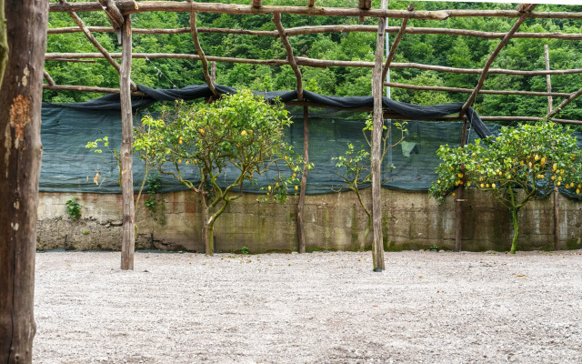 CVM Montagnella Relax