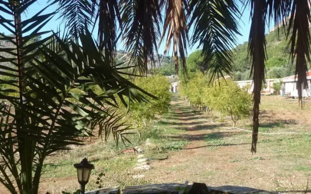 Villa Artemis