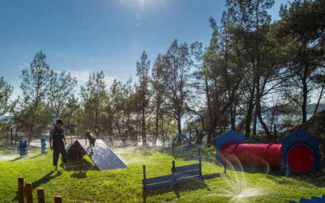 Camping Lanterna 17174