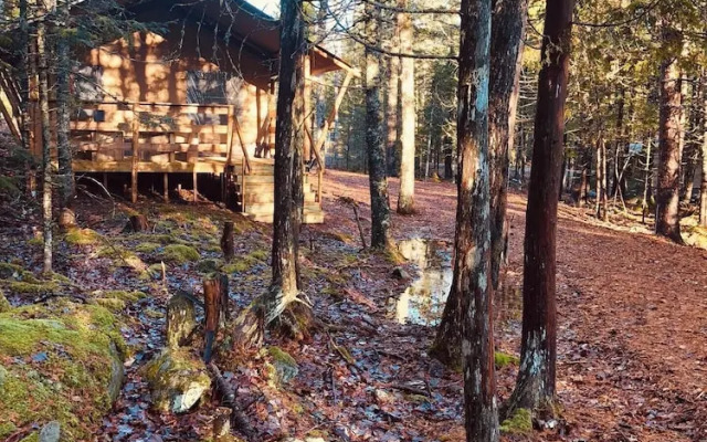 The Woods of Eden Glampground