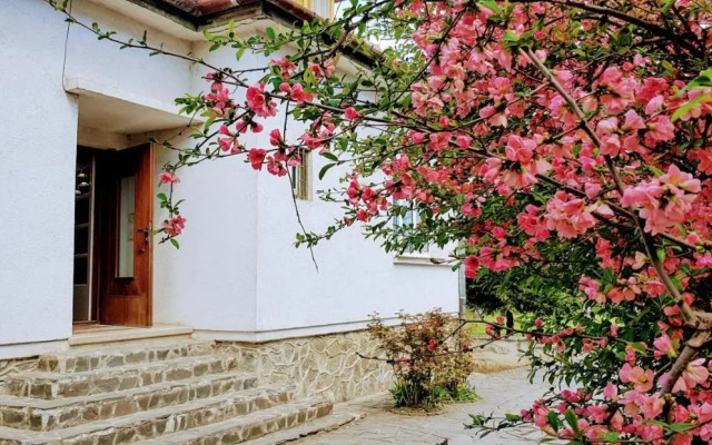 Martha Residence