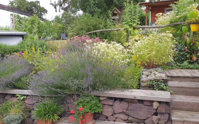 Ferienwohnung Zur Ellernmühle