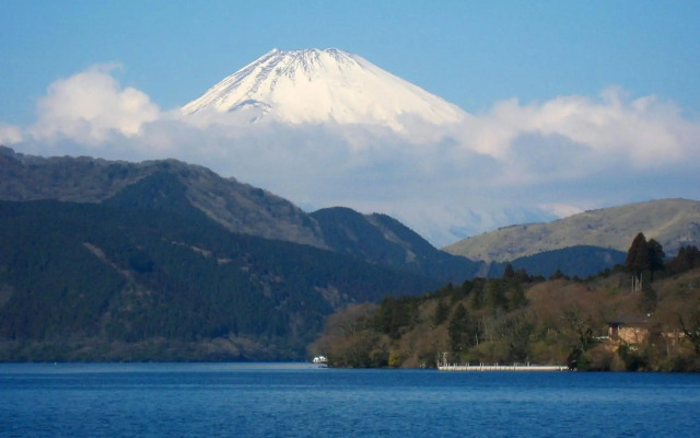 Yamagaso