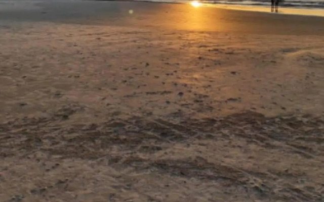 Apto Centro Ubatuba com Varanda Gourmet, Suíte e Piscina