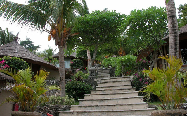 Coconuts Beach Resort