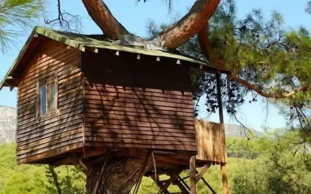 Olympos Woods - Adults Only