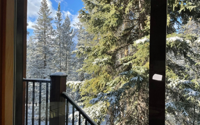 Blanchard Mountain BnB