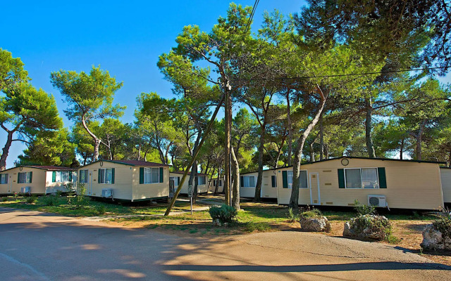 Arena Indije Mobile Homes