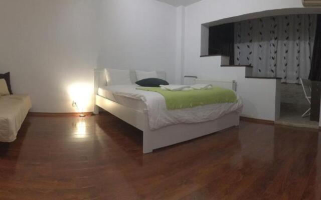 New Green Studio