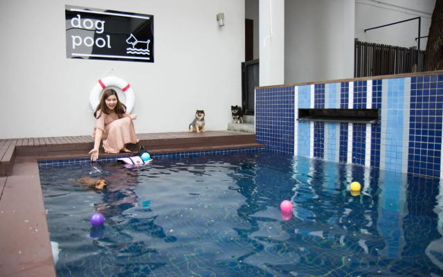 Ketawa Pet Friendly Hotel