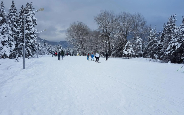Mountain View Resort