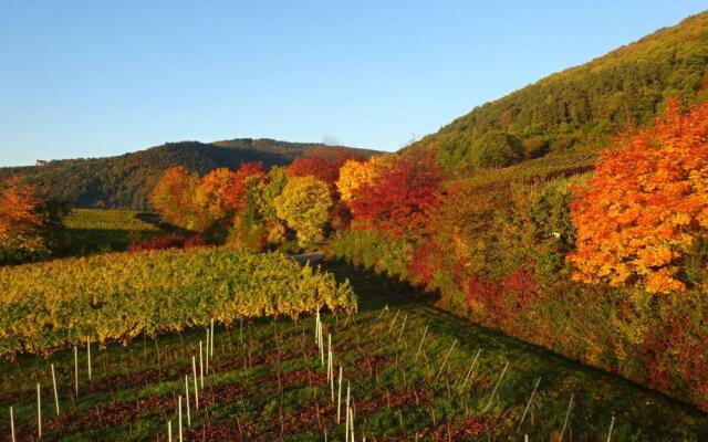 Gästehaus Moni Jäger