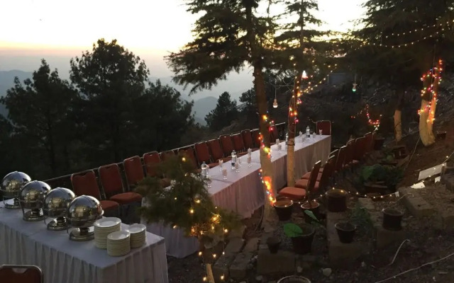 Daisy Dot Murree
