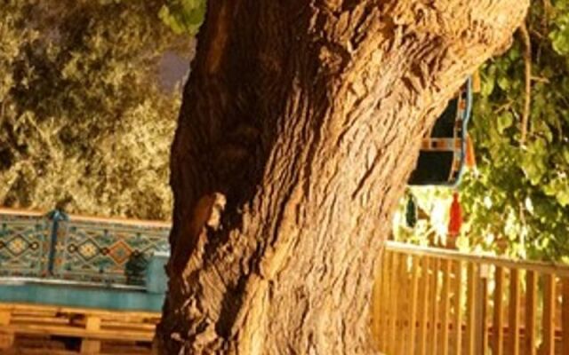 Tas Konak Butik Otel Bungalov