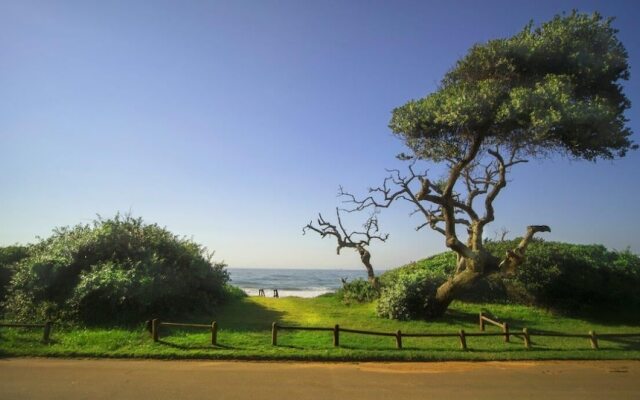 4 Dolphin views La Mercy