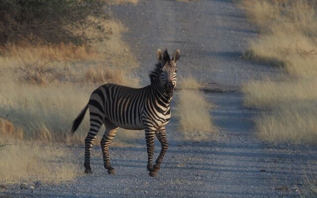 Gabus Game Ranch