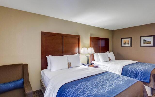 Comfort Inn and Suites Plano East