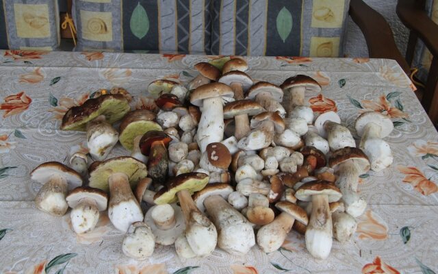 Ellerbeck Gesundheits- und Wellnesshof