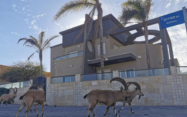 Villa Tzukim Mitzpe Ramon