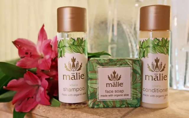 Poolside Aina Nalu Condo D102 - 2 Br Condo