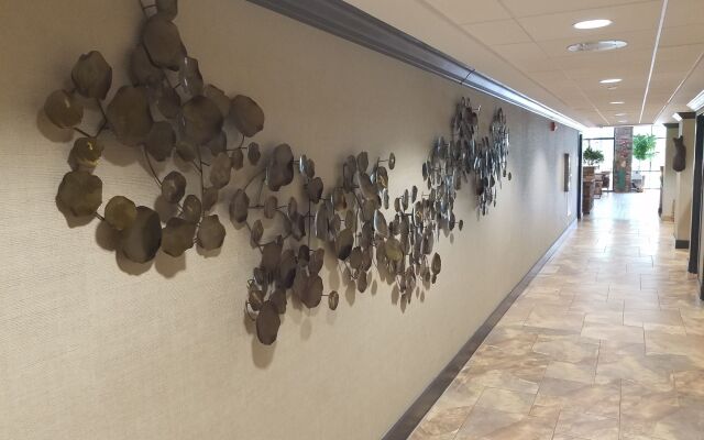 Holiday Inn Asheville East-Blue Ridge PKWY by IHG