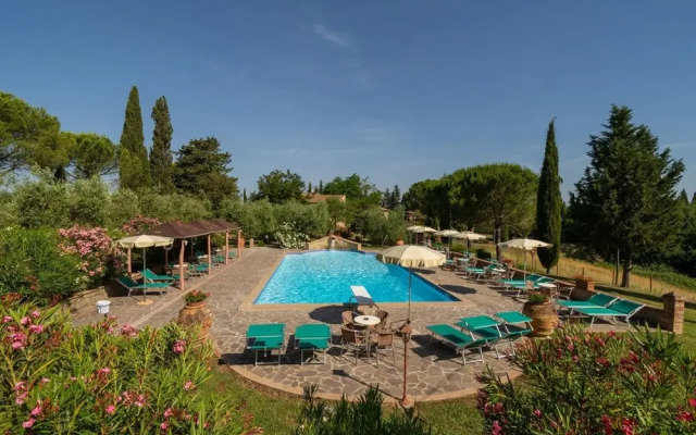 Mimosa Montelopio in Montelopio