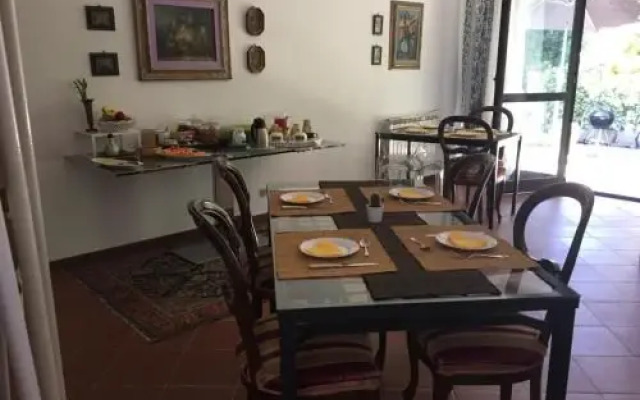 BB Casa Tomato