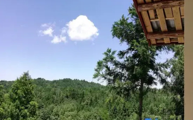 Shizhulinyoujubishushanzhuang