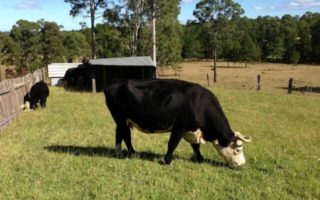 Rural Executive Holiday House @ Lavender Grove Farm