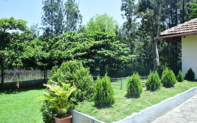 Misty Green