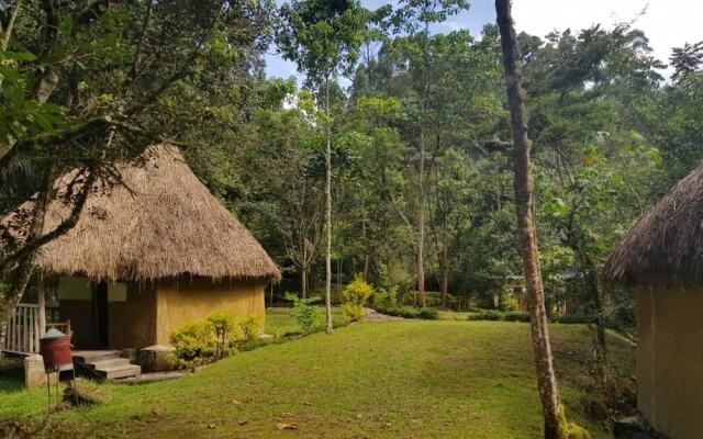 Nshongi Forest Camp