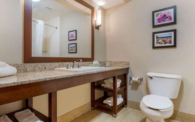 Comfort Suites Gastonia - Charlotte